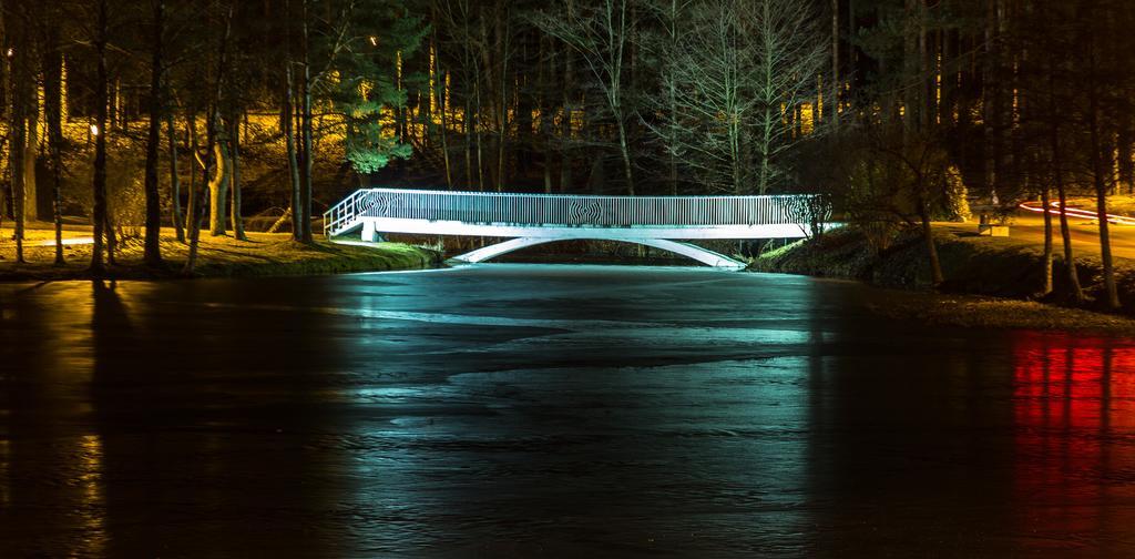Inga Vacation House Druskininkai Extérieur photo