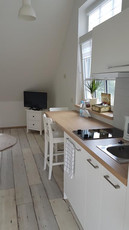 Inga Vacation House Druskininkai Extérieur photo