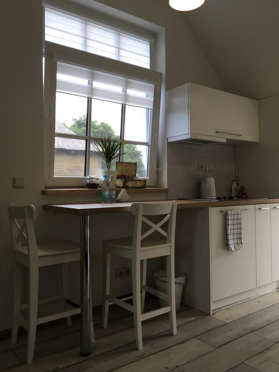 Inga Vacation House Druskininkai Extérieur photo
